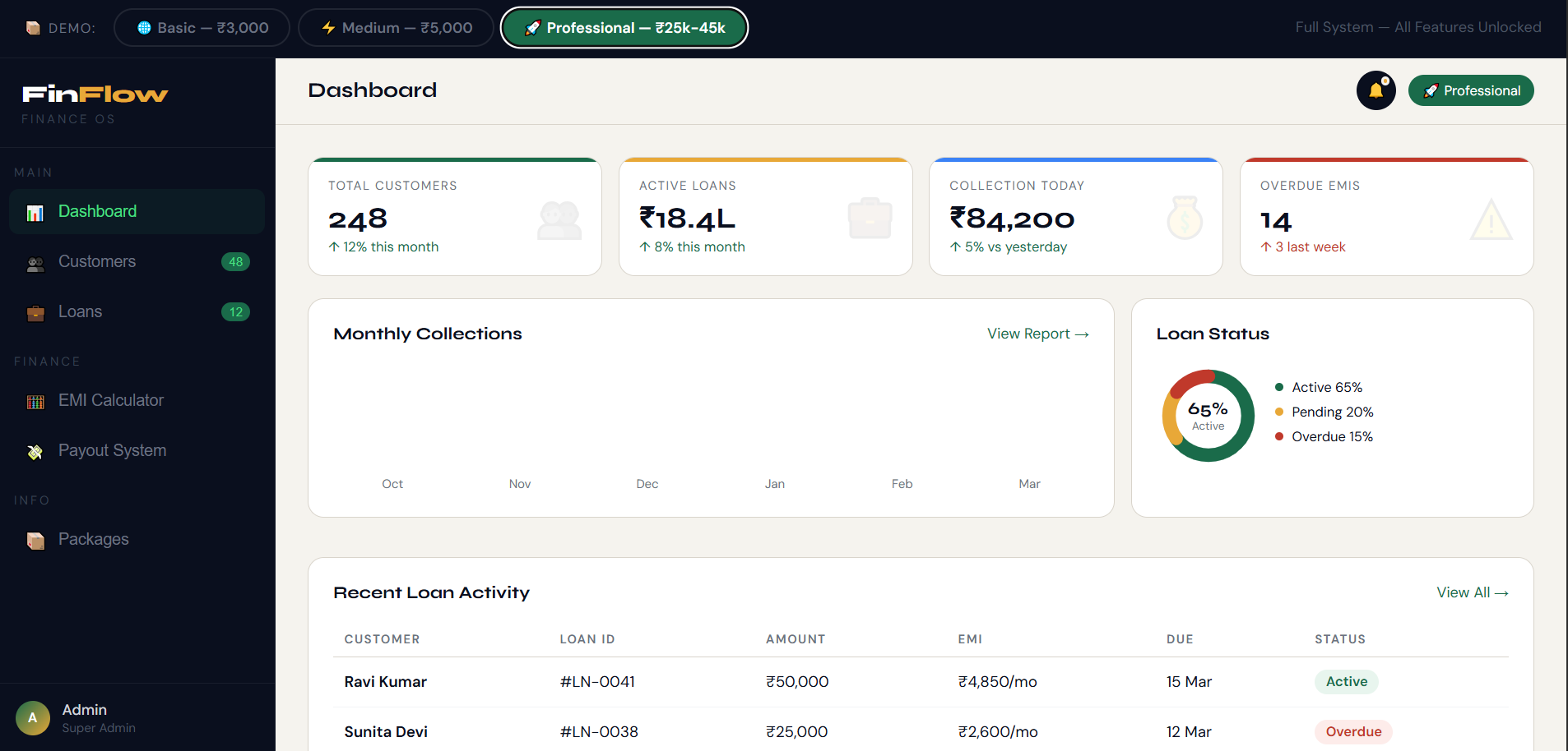 Micro Finance Demo project screenshot